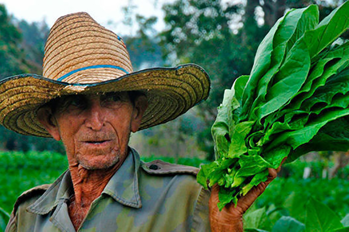 ACN - Cuba