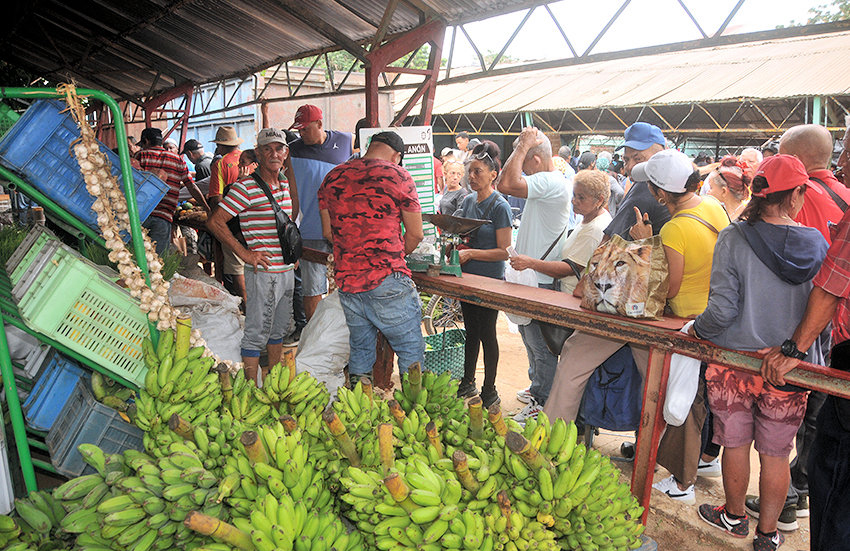 ACN - Cuba