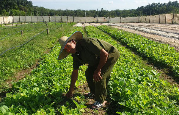 ACN - Cuba