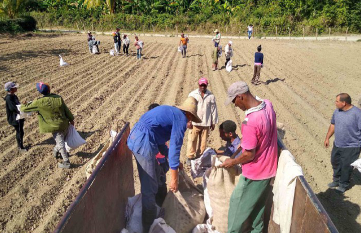 ACN - Cuba