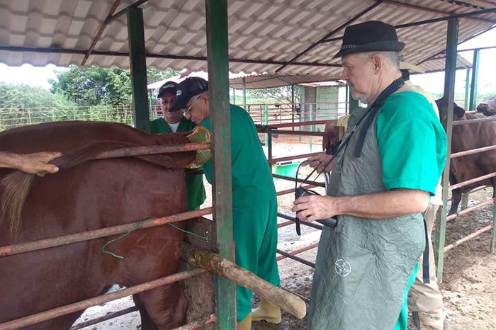 ACN - Cuba