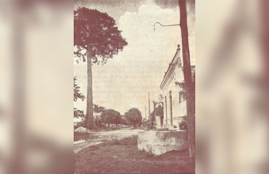 Entrada a San Juan de los Yeras. Al fondo, se visualiza la emblemática ceiba que identifica a los sanjuaneros.