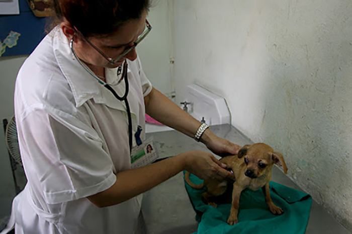 ACN - Cuba