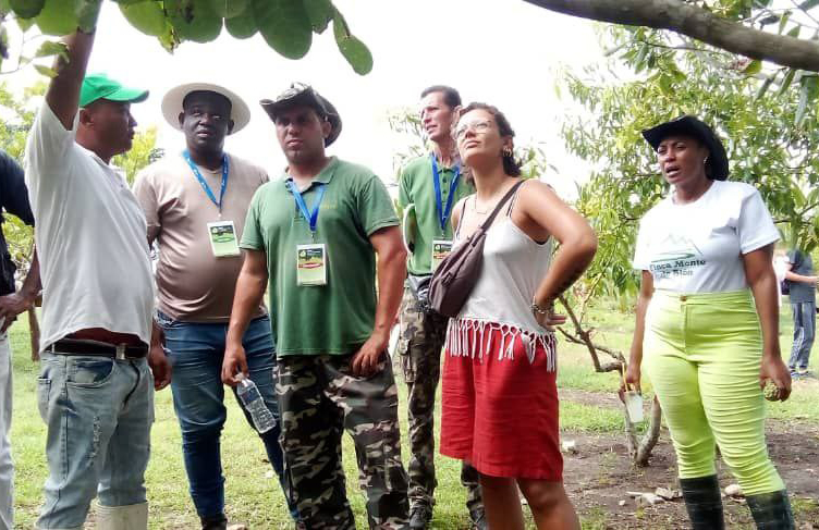 ACN - Cuba