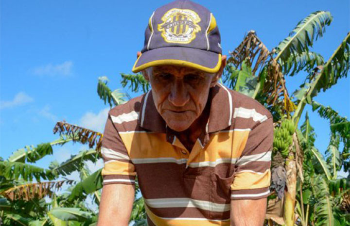 ACN - Cuba