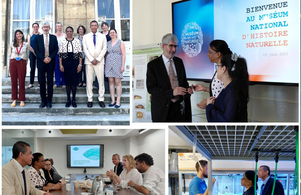 ACN - Cuba