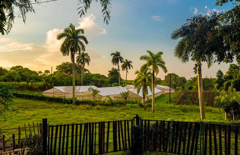 ACN - Cuba