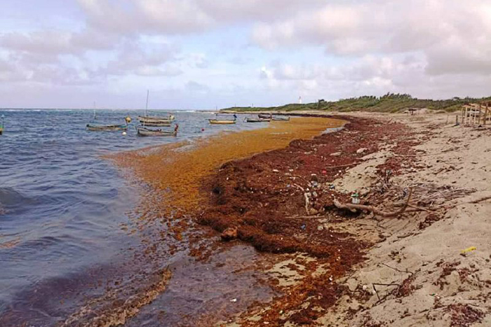 ACN - Cuba