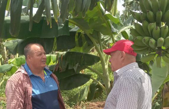 ACN - Cuba