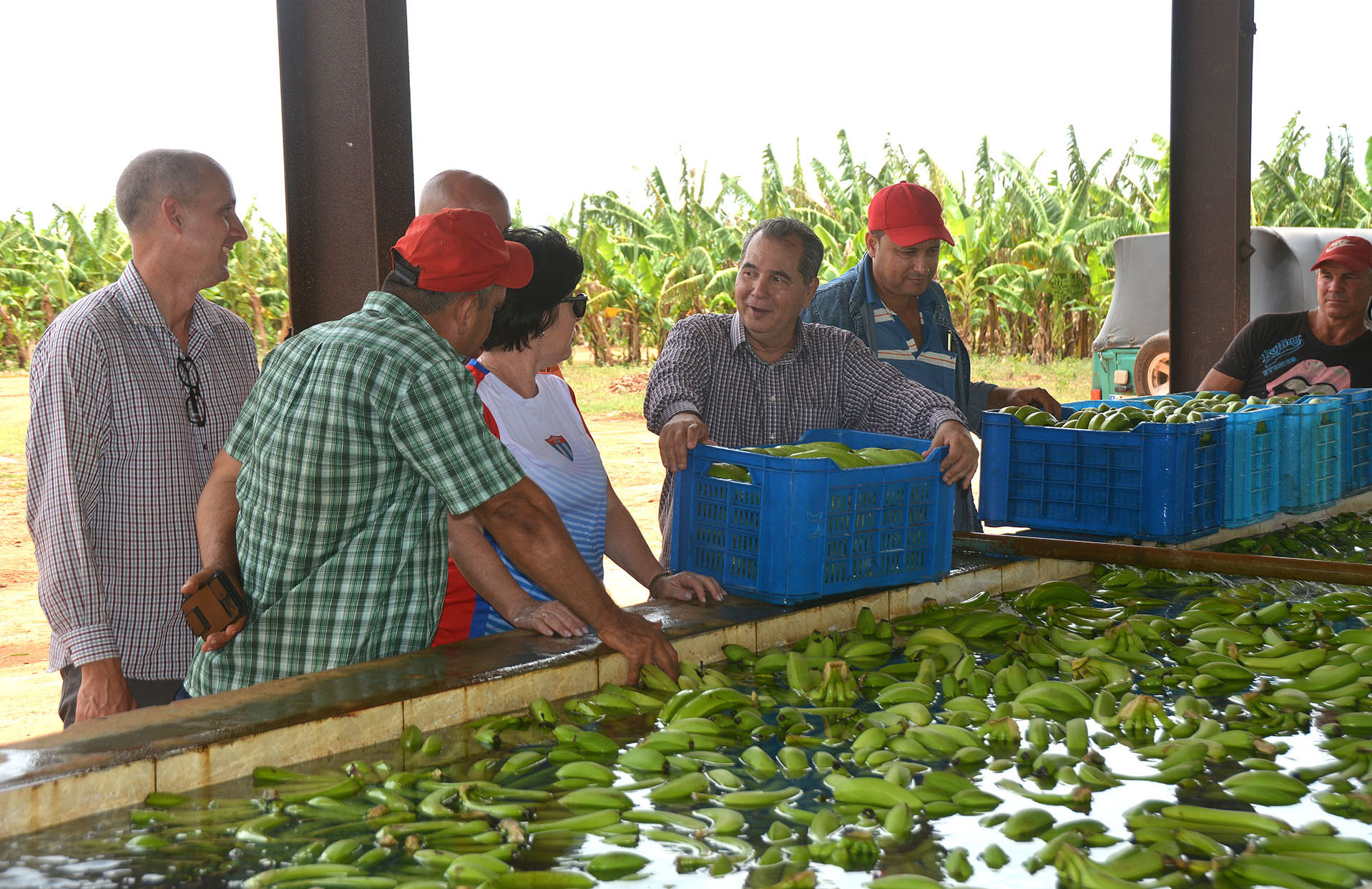 ACN - Cuba