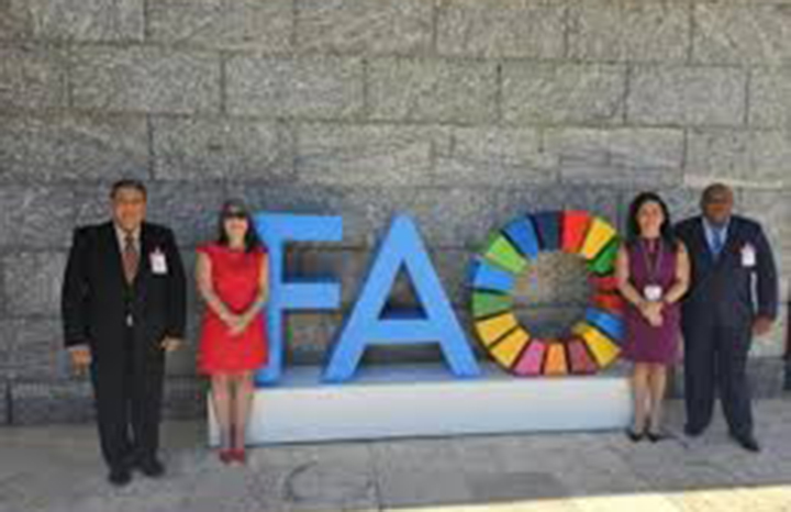 ACN - Cuba