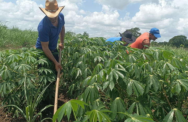 ACN - Cuba
