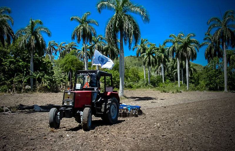 ACN - Cuba