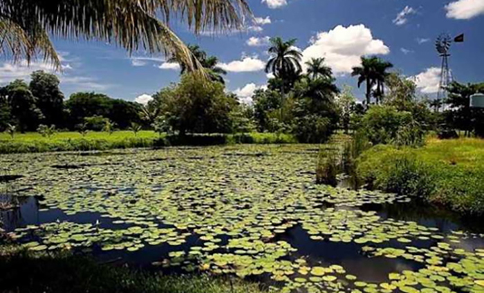 ACN - Cuba