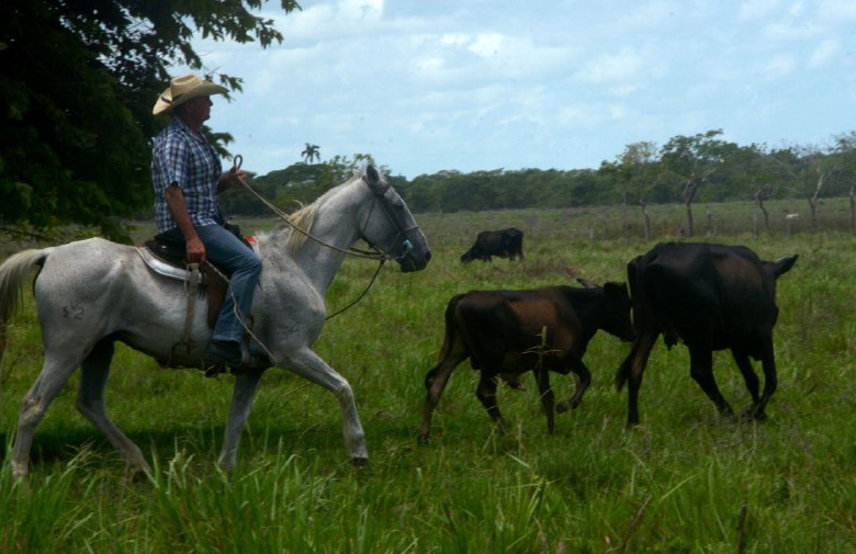 ACN - Cuba