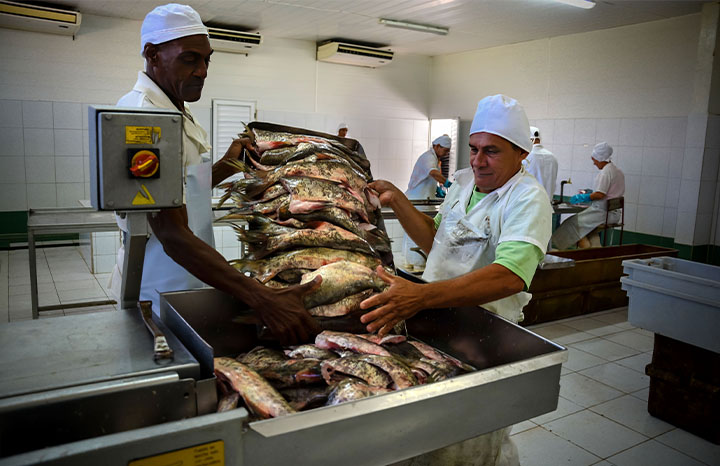ACN - Cuba