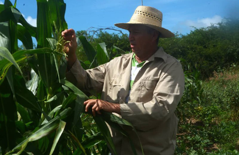 ACN - Cuba