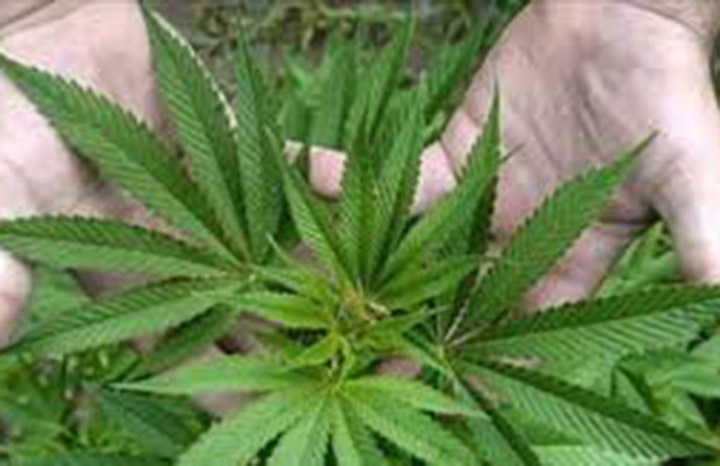 ACN - Cuba