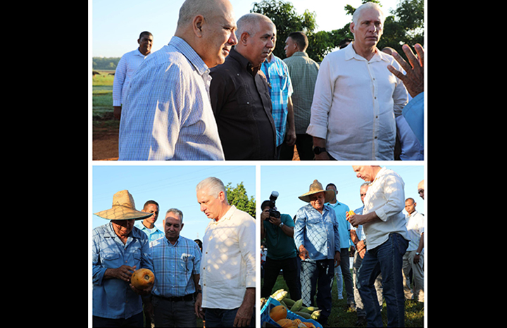 ACN - Cuba