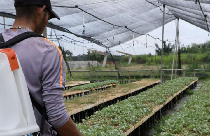 ACN - Cuba