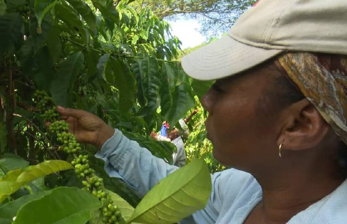 ACN - Cuba