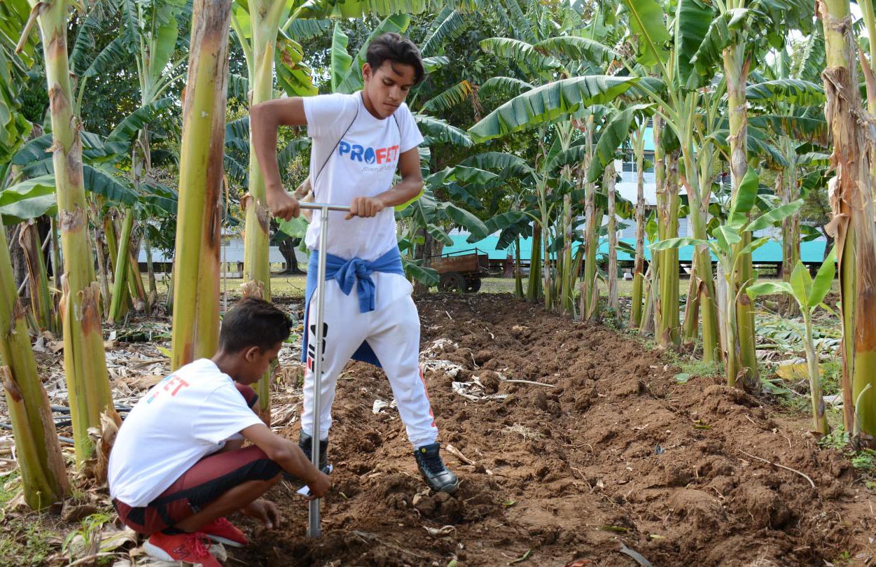 ACN - Cuba