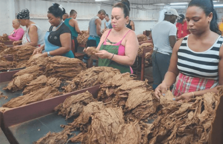ACN - Cuba