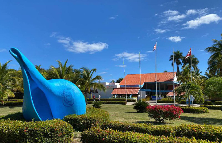 ACN - Cuba