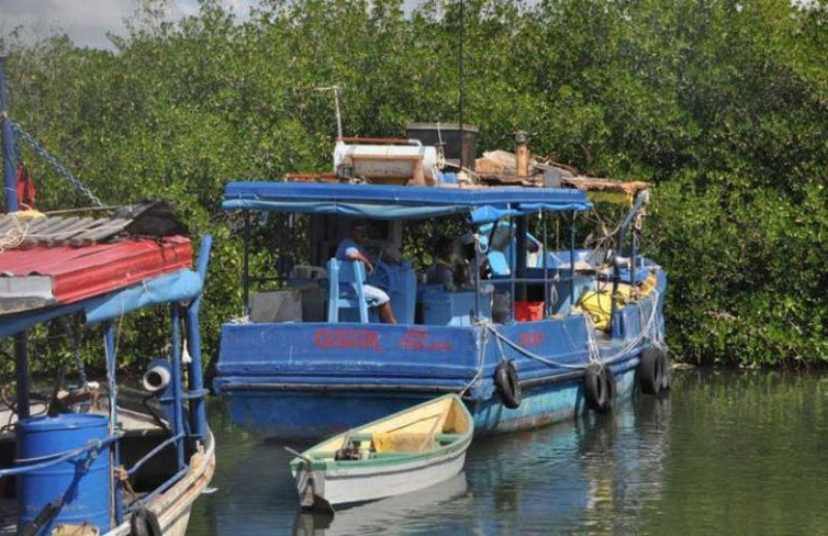 ACN - Cuba