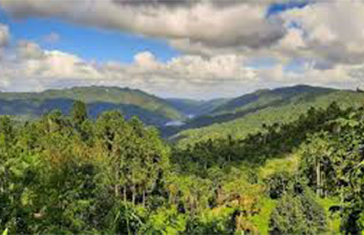 ACN - Cuba