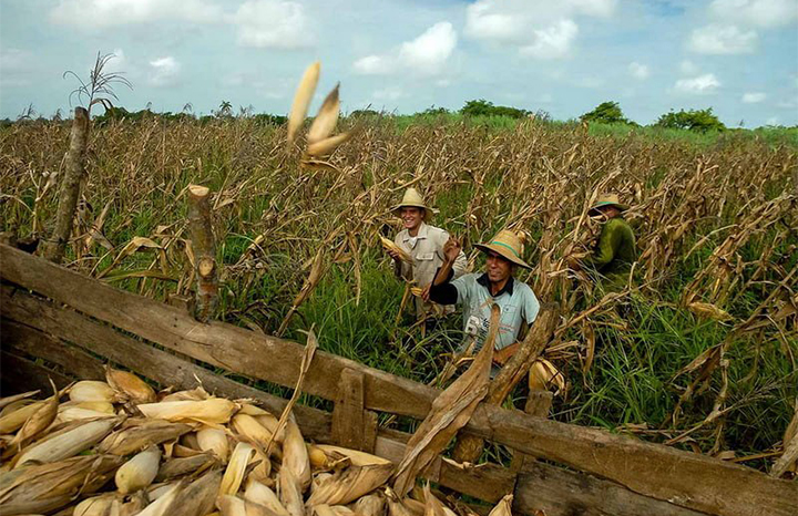 ACN - Cuba