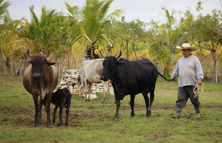 ACN - Cuba