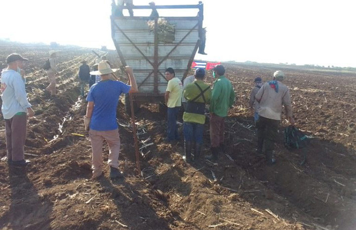 ACN - Cuba