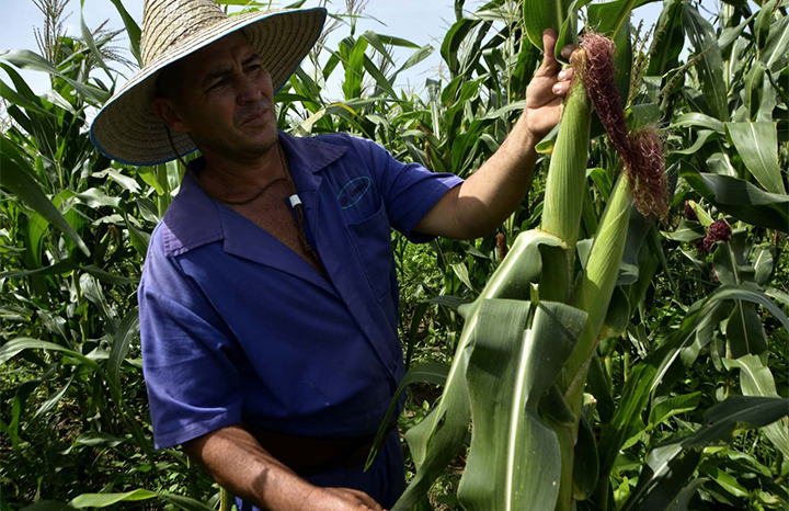 ACN - Cuba