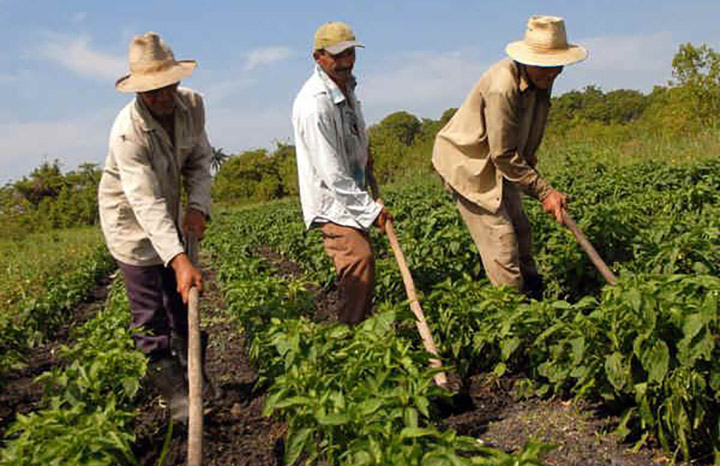 ACN - Cuba