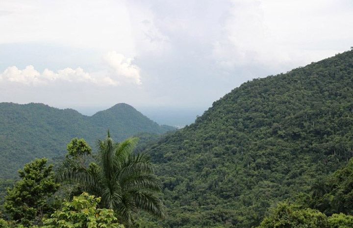 ACN - Cuba