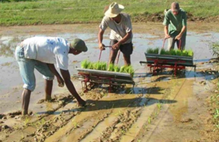 ACN - Cuba