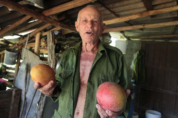 ACN - Cuba