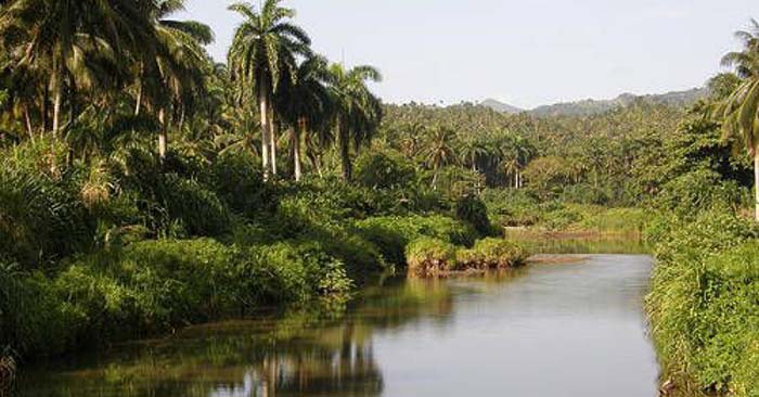 ACN - Cuba
