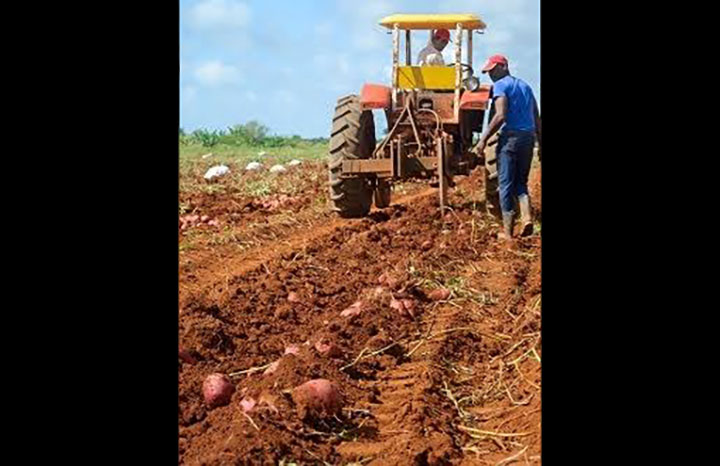 ACN - Cuba