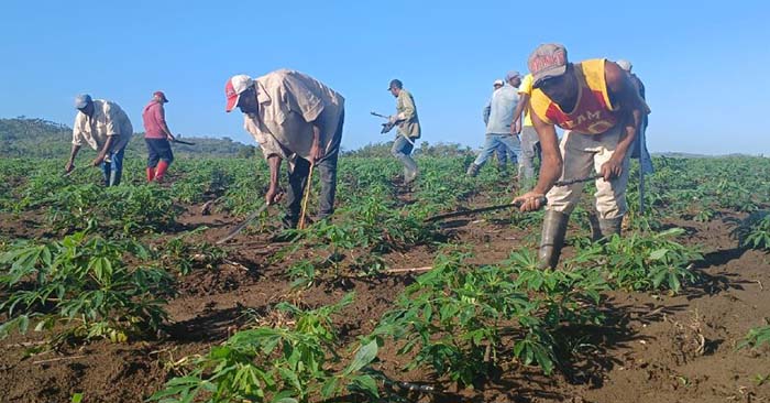 ACN - Cuba