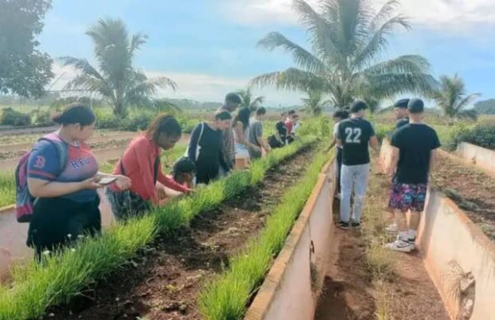 ACN - Cuba