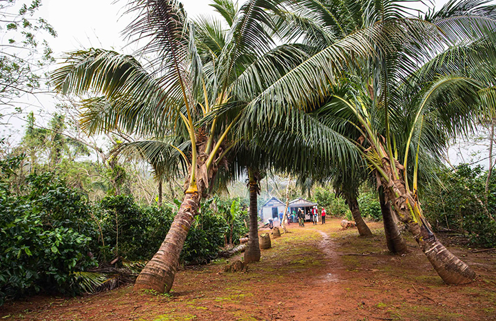 ACN - Cuba