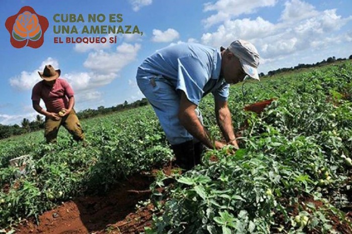 ACN - Cuba