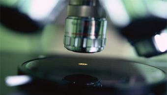 Microscopía óptica