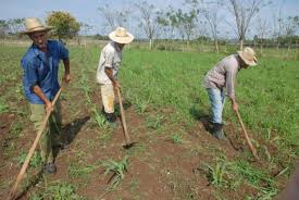 suelo_agricultura.jpg