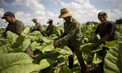 dia-campesino.jpg