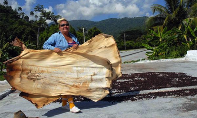 Iraida Espinosa es la mujer que conduce el empeño del colectivo de la despulpadora de café Filé, en el municipio de Tercer Frente, provincia de Santiago de Cuba, centro declarado mejor del país en la campaña cafetalera 2013-2014. 5 de junio de 2014. AIN FOTO/Miguel RUBIERA JUSTIZ