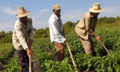 campesino.jpg