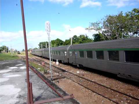 tren.jpg